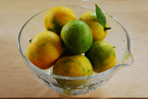 f0000211_21111848.jpg