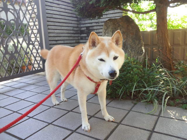 c0060620_235657.jpg