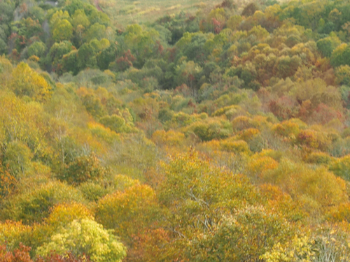 e0312121_015147.jpg