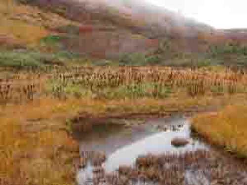 e0312121_039569.jpg