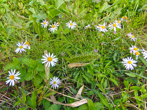 f0228030_1813724.jpg