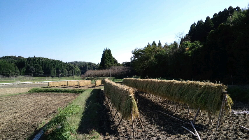 b0146750_22162233.jpg