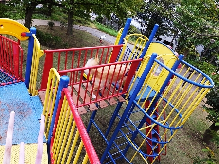 c0097558_11345512.jpg