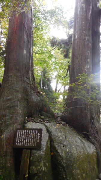 f0019063_23481226.jpg