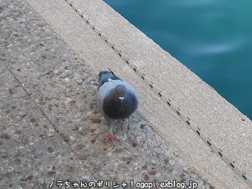 f0037264_21285723.jpg