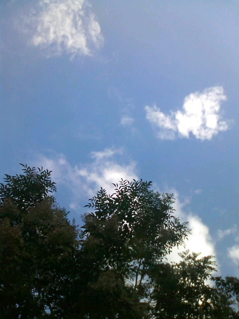 f0061067_16344459.jpg