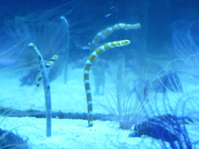 e0278968_072015.jpg