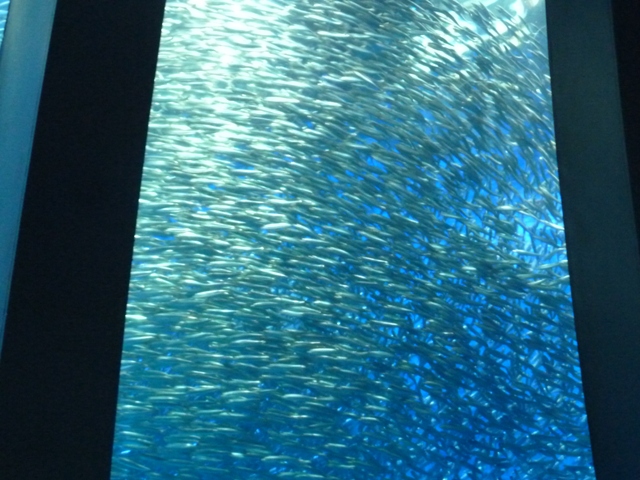 e0278968_23522253.jpg