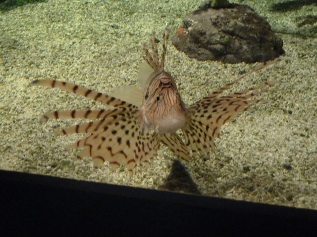 e0278968_23554363.jpg