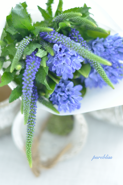 b0243873_14421995.png