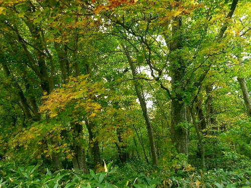 d0084473_2033542.jpg