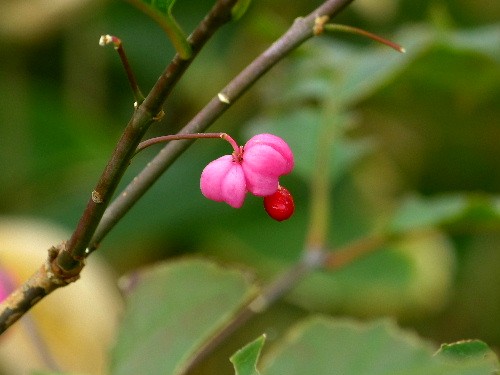 d0084473_203671.jpg