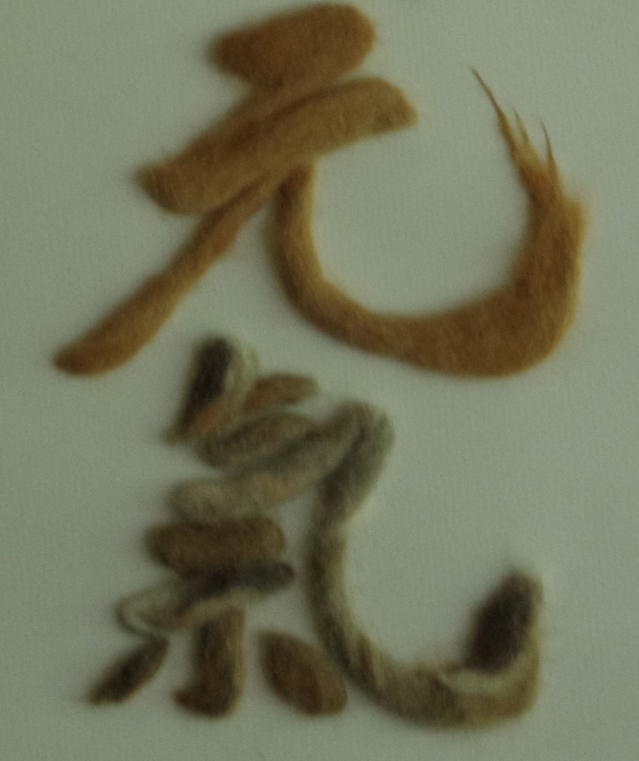 f0054677_721720.jpg
