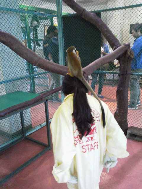 c0096582_2205850.jpg
