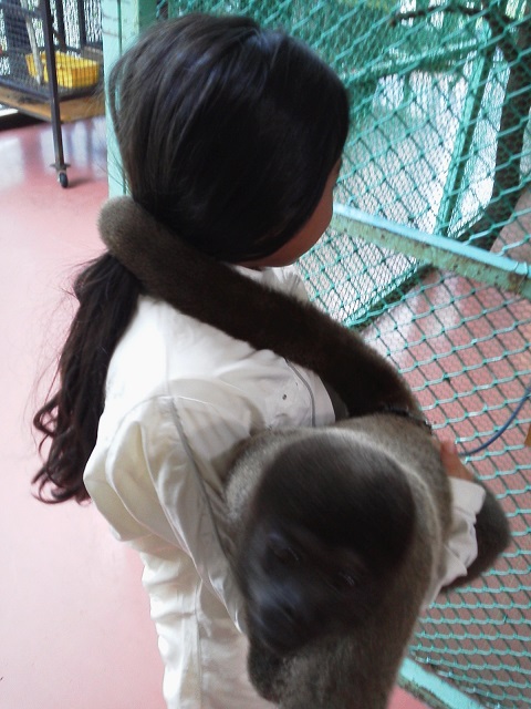 c0096582_2214820.jpg