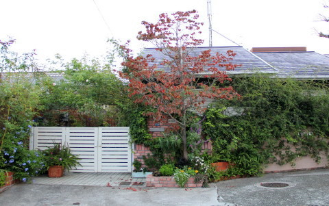 e0154682_20511473.jpg