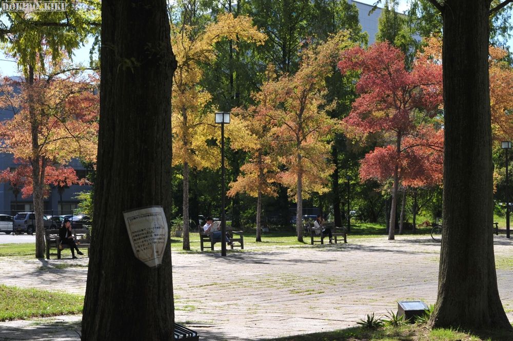 c0220084_2141536.jpg