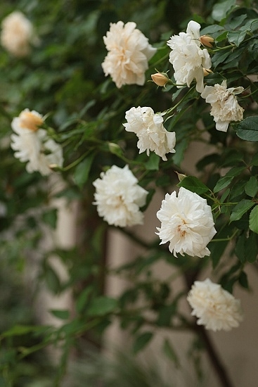 e0209997_15183796.jpg