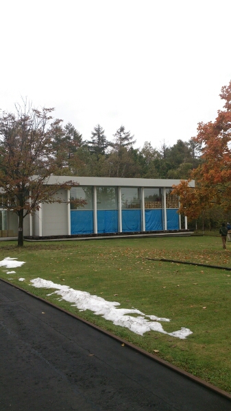 a0061599_863786.jpg