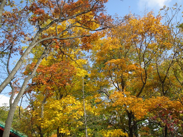 f0202703_2111277.jpg