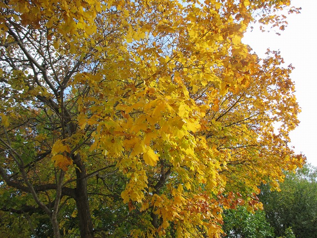 f0202703_2112628.jpg