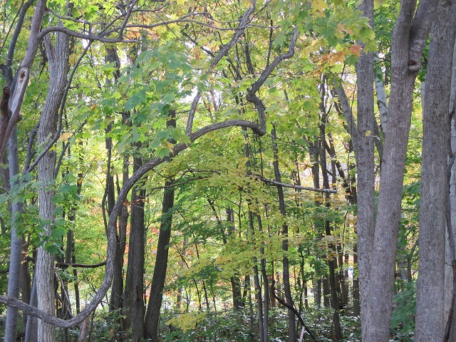 f0202703_21155653.jpg
