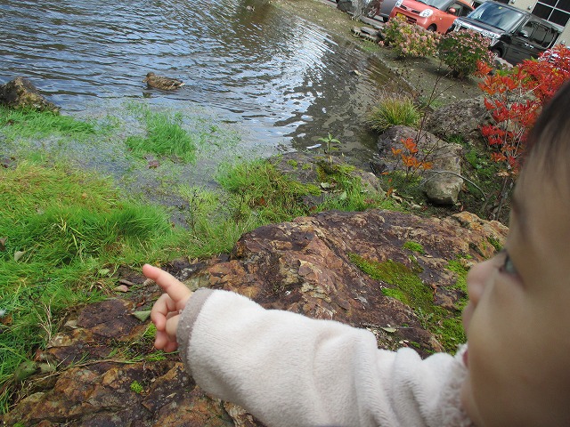 f0202703_2153886.jpg