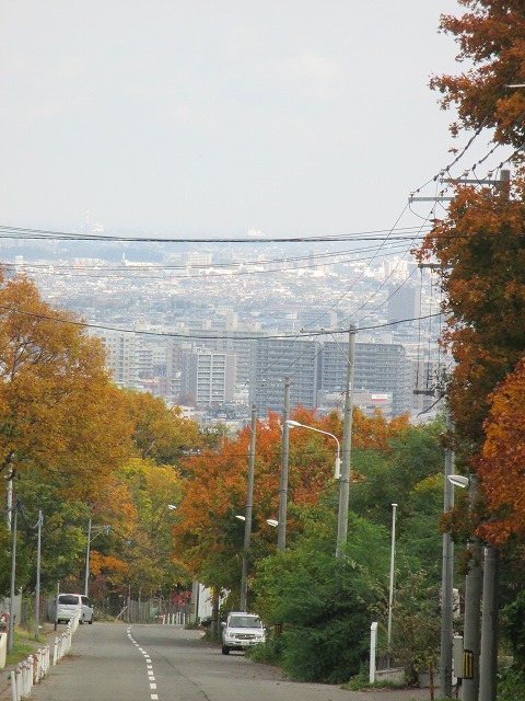 f0202703_217426.jpg