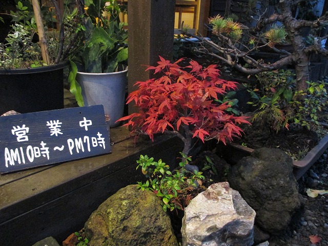 f0202703_311451.jpg