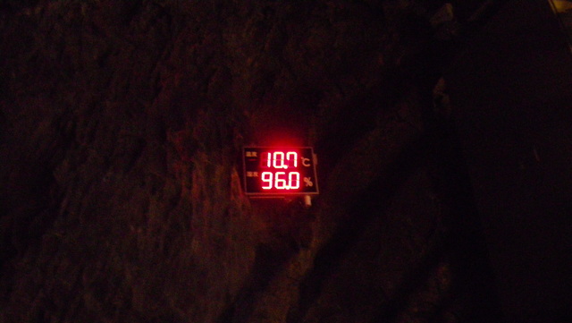 a0116205_20273018.jpg