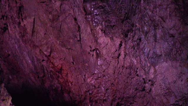 a0116205_2027504.jpg