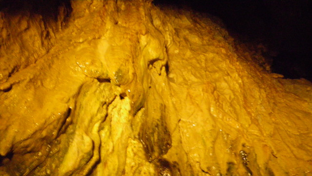 a0116205_2028628.jpg