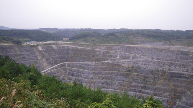 a0116205_2030185.jpg