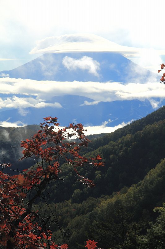 a0188405_1759117.jpg