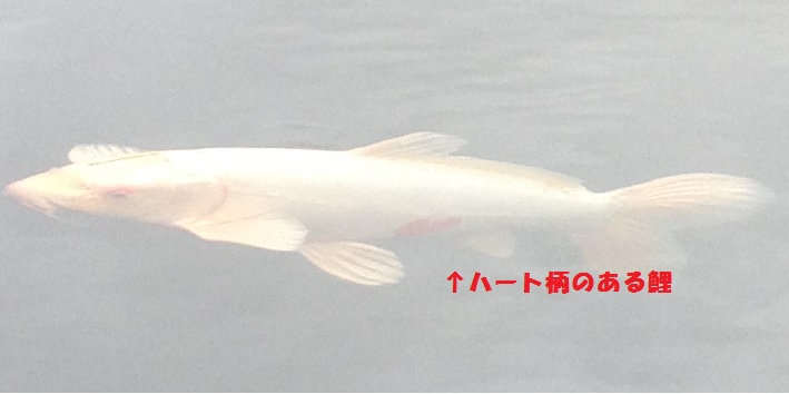 f0162908_22314830.jpg
