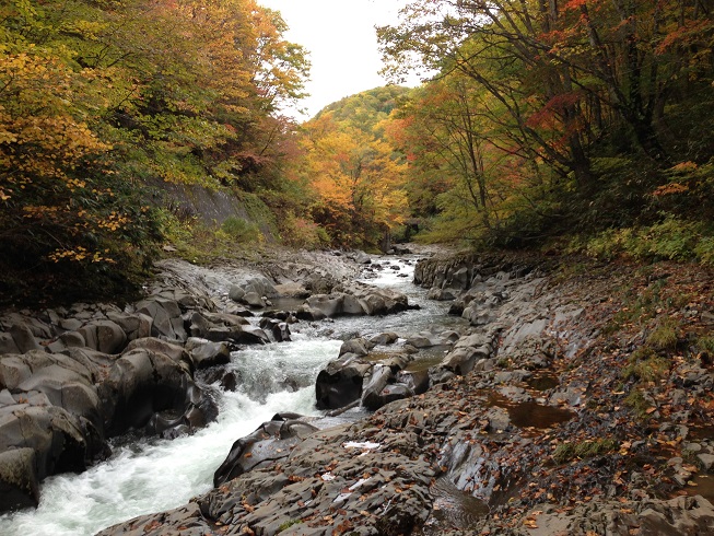 f0162908_22343227.jpg