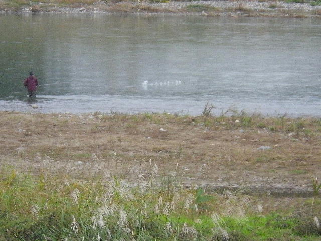 b0172209_8563780.jpg