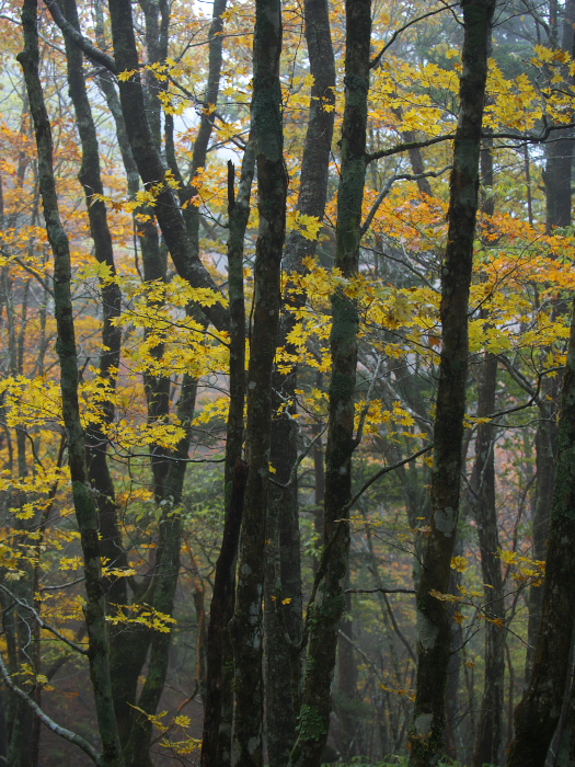 f0221510_23283975.jpg