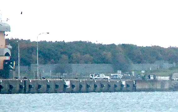 a0155319_1192874.jpg