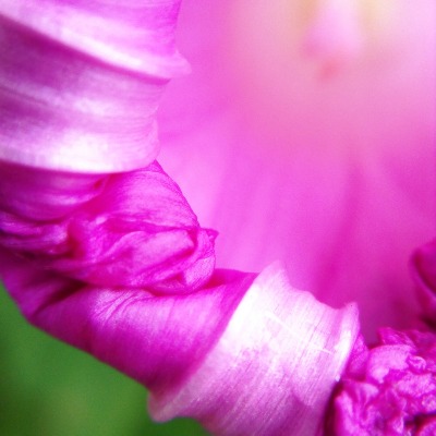 c0037519_6521435.jpg