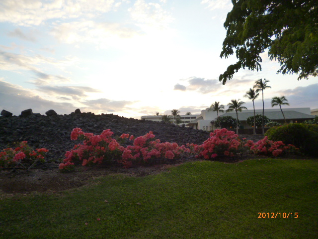 e0047322_103244.jpg