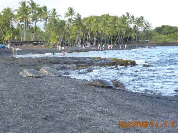 e0047322_20262932.jpg
