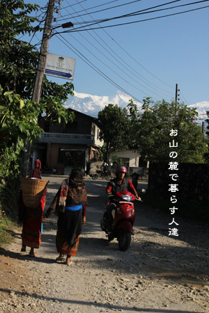 d0042827_2133678.jpg