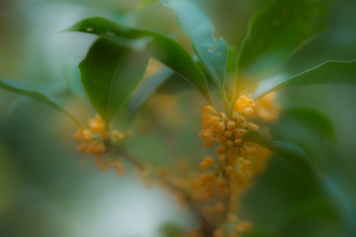 b0134829_1143797.jpg