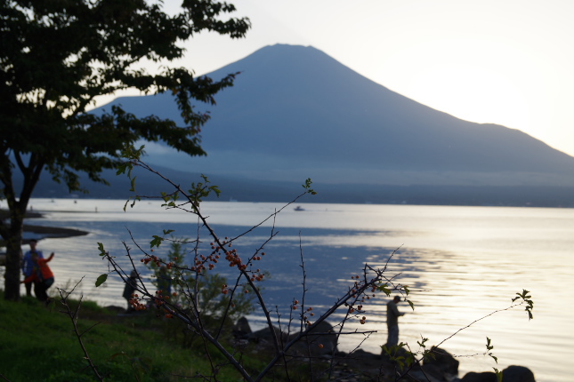 a0249931_1147438.jpg