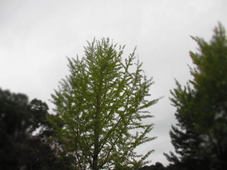 c0239235_1758635.jpg