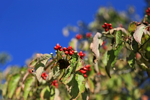 a0242438_19261112.jpg