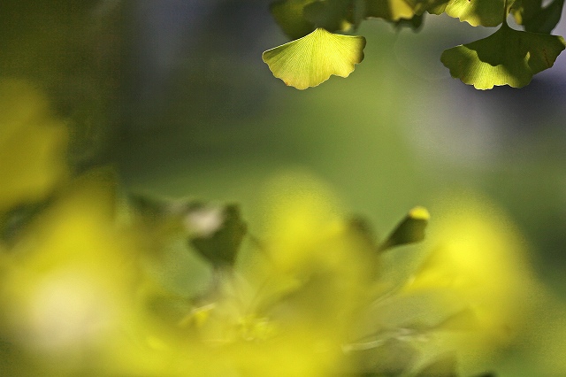a0242438_1926623.jpg