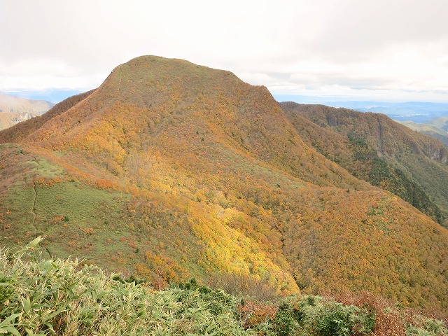 f0003138_11111317.jpg