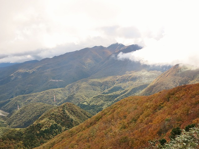 f0003138_11144420.jpg